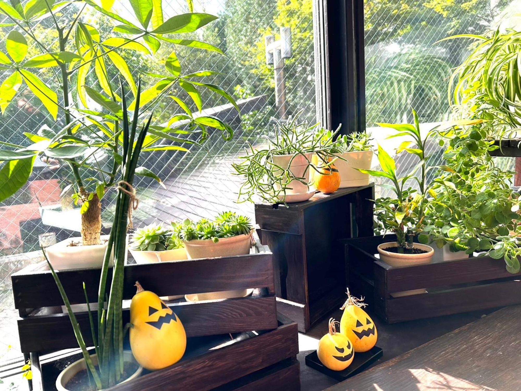 Apikogen Mori No Hotel 八幡平市 エクステリア 写真